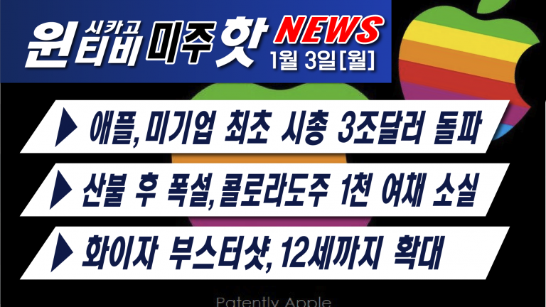 [1월3일][폭설-오미크론 새해 항공대란, 2500편 결항 ]—성범죄자 30명 체포 작전, 10대 실종소녀 5명 구출, 애플사상최초 시총 3조달러 돌파